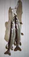 lure2