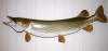 lure3