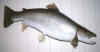 lure10