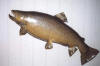 lure7