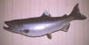 lure