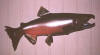lure5