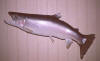 lure3