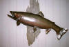 lure6